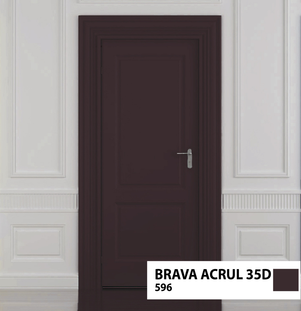 brava 596.jpg brava 596.jpg