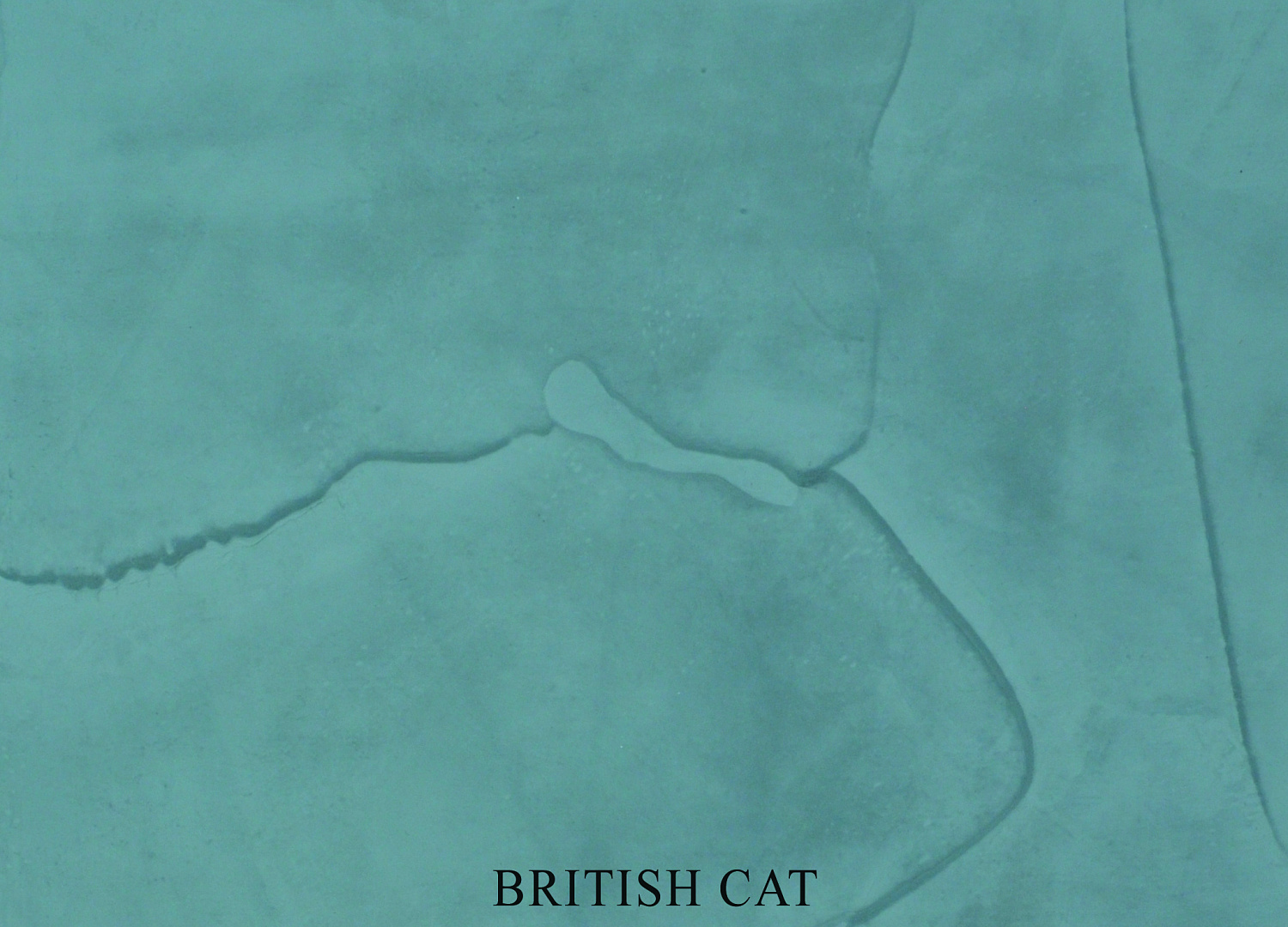 Декоративная штукатурка Primavera Marmo Decor венецианская