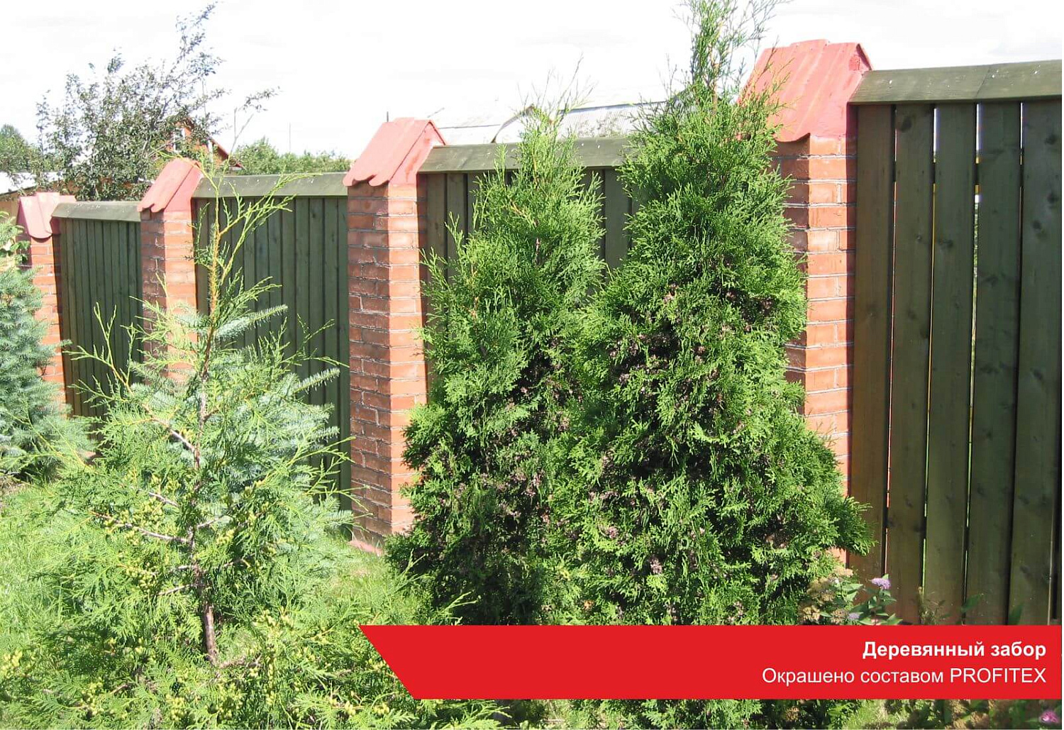 Деревянный забор. Окрашено составом PROFITEX