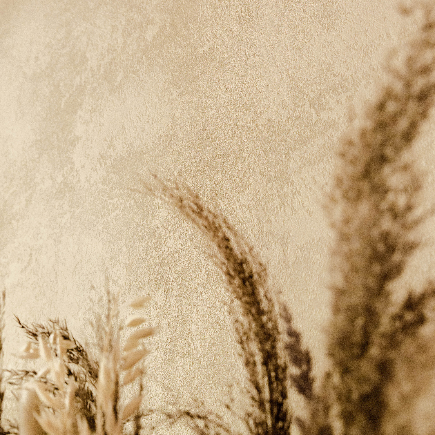 Ресторан MARBL г. Минск. Материалы: Декоративная штукатурка Lino 0,2 фракция, грунтовка Fattura, Декоративная штукатурка Marmo Decor.